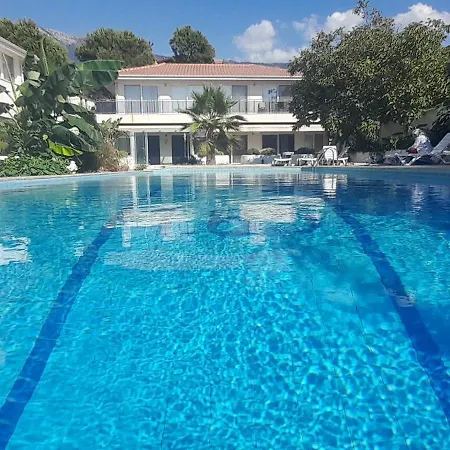 Apartman Harika Bir Yer *